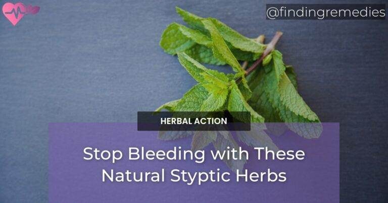 Stop Bleeding with These Natural Styptic Herbs