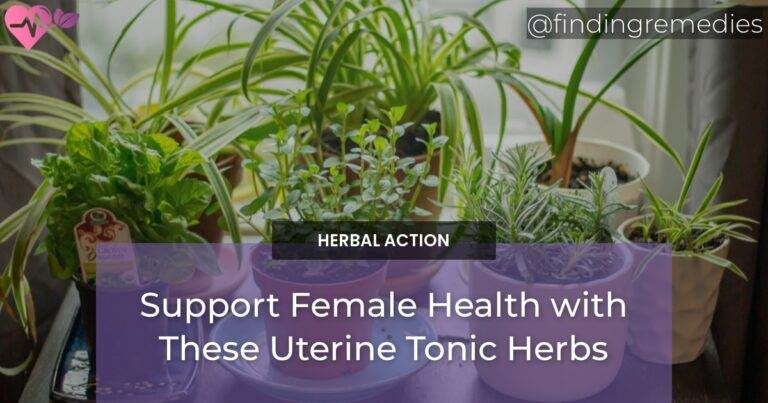 Support Female Health with These Uterine Tonic Herbs