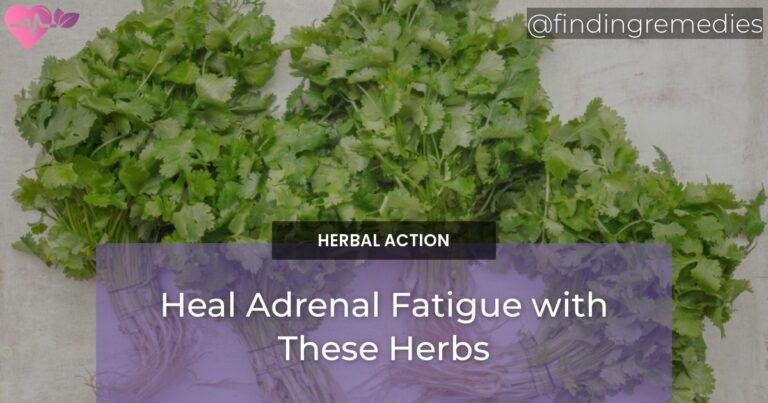 Heal Adrenal Fatigue with These Herbs