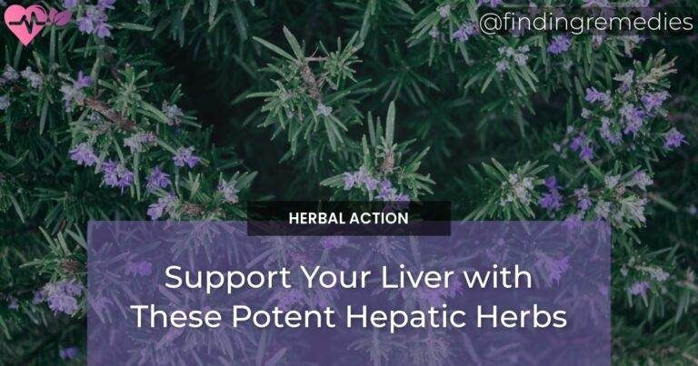 Support Your Liver with These Potent Hepatic Herbs