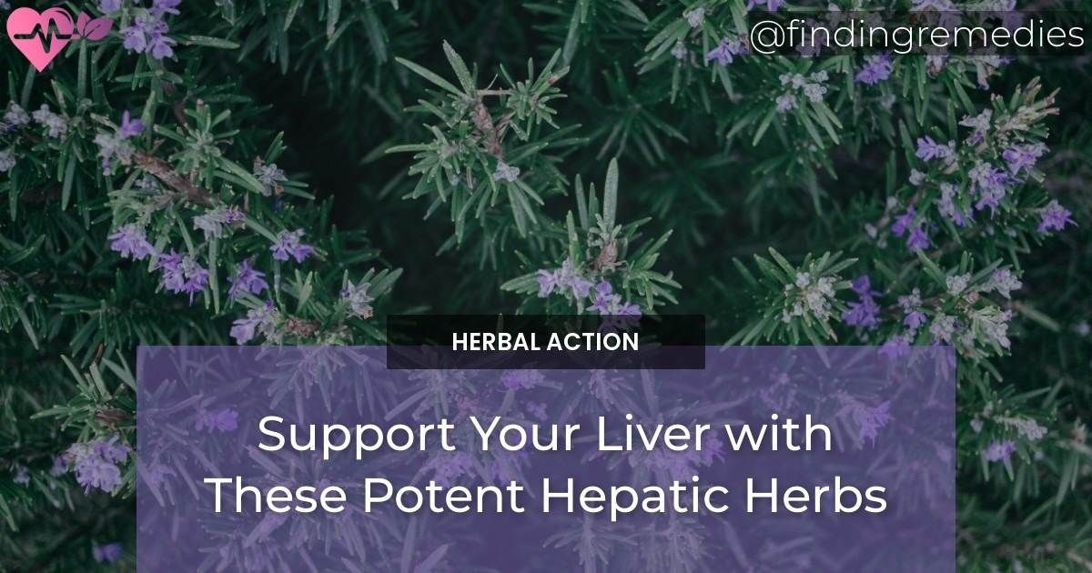 Support Your Liver with These Potent Hepatic Herbs