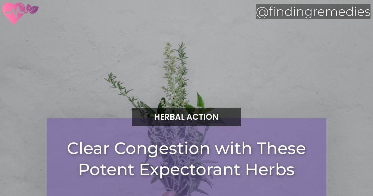 Clear Congestion with These Potent Expectorant Herbs