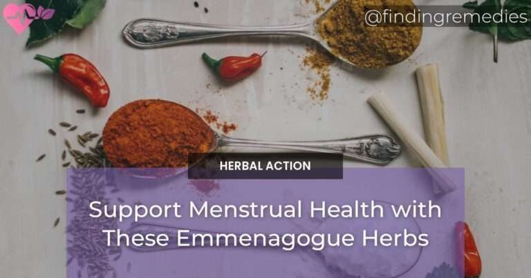Support Menstrual Health with These Emmenagogue Herbs