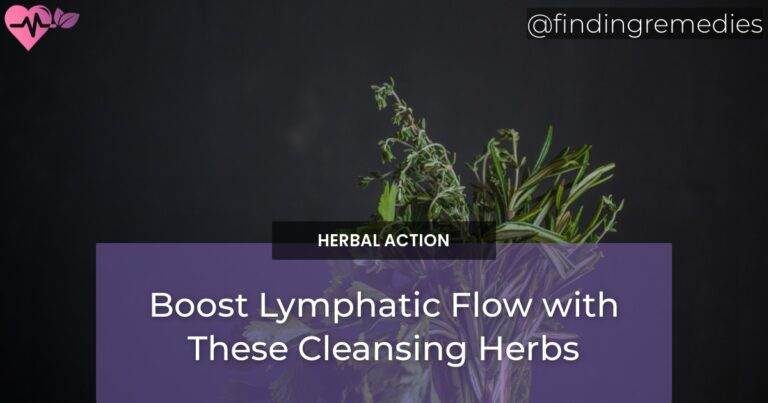 Boost Lymphatic Flow with These Cleansing Herbs