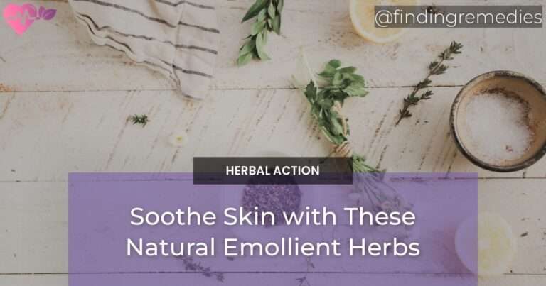 Soothe Skin with These Natural Emollient Herbs
