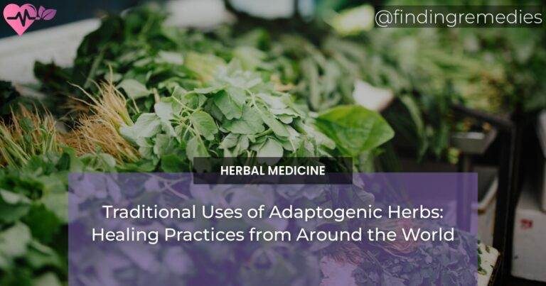 Traditional Uses of Adaptogenic Herbs: Healing Practices from Around the World