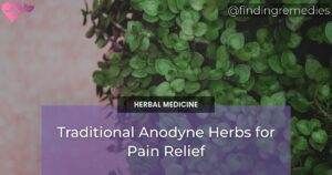 Traditional Anodyne Herbs for Pain Relief