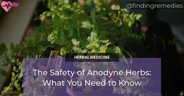 The Safety of Anodyne Herbs: What You Need to Know
