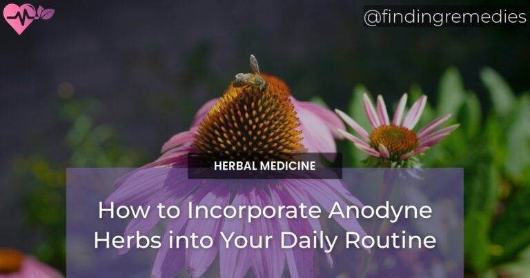 How to Incorporate Anodyne Herbs into Your Daily Routine