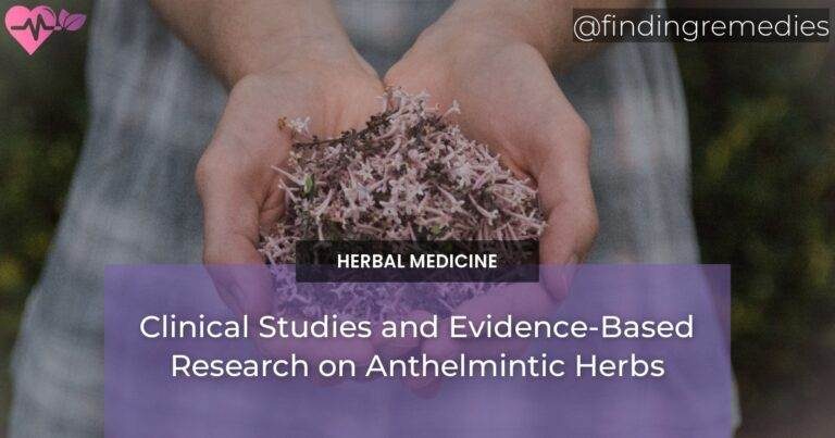 Clinical Studies and Evidence-Based Research on Anthelmintic Herbs