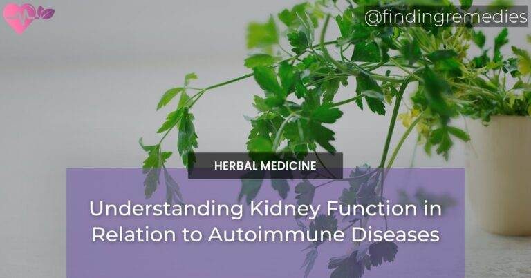Understanding Kidney Function in Relation to Autoimmune Diseases