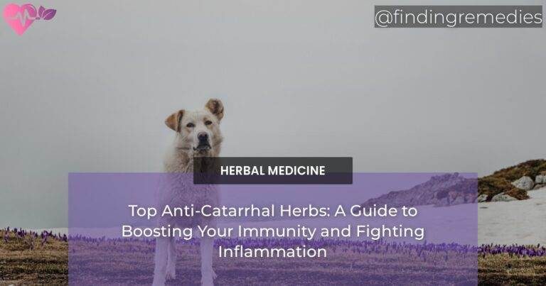Top Anti-Catarrhal Herbs: A Guide to Boosting Your Immunity and Fighting Inflammation