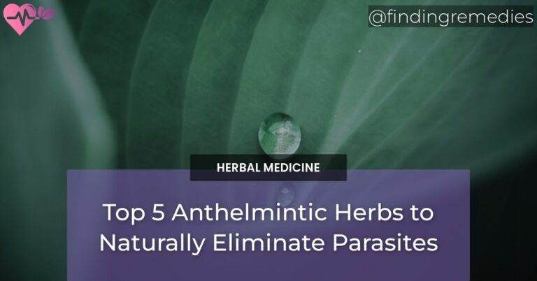 Top 5 Anthelmintic Herbs to Naturally Eliminate Parasites