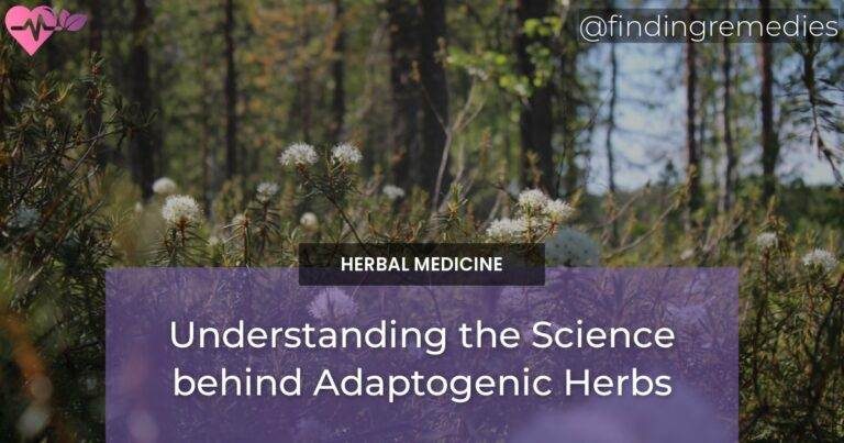 Understanding the Science behind Adaptogenic Herbs