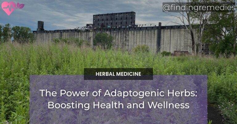 The Power of Adaptogenic Herbs: Boosting Health and Wellness