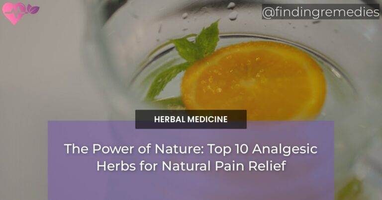 The Power of Nature: Top 10 Analgesic Herbs for Natural Pain Relief
