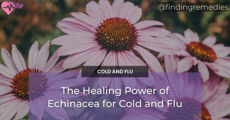 The Healing Power of Echinacea for Cold and Flu