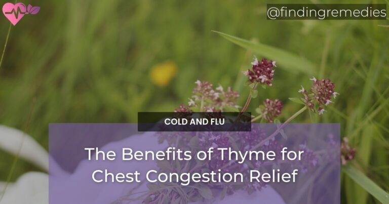 The Benefits of Thyme for Chest Congestion Relief