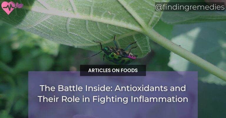 The Battle Inside: Antioxidants and Their Role in Fighting Inflammation