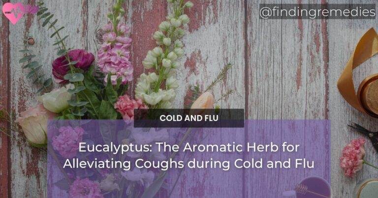 Eucalyptus: The Aromatic Herb for Alleviating Coughs during Cold and Flu