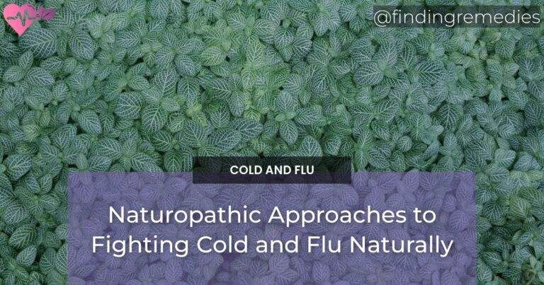 Naturopathic Approaches to Fighting Cold and Flu Naturally