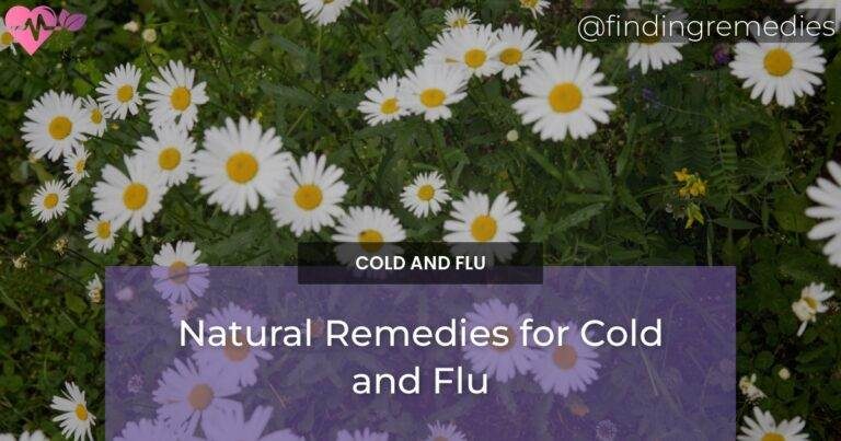 Natural Remedies for Cold and Flu