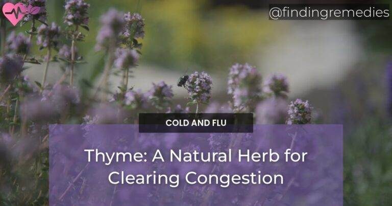 Thyme: A Natural Herb for Clearing Congestion
