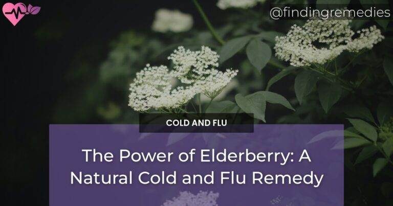 The Power of Elderberry: A Natural Cold and Flu Remedy