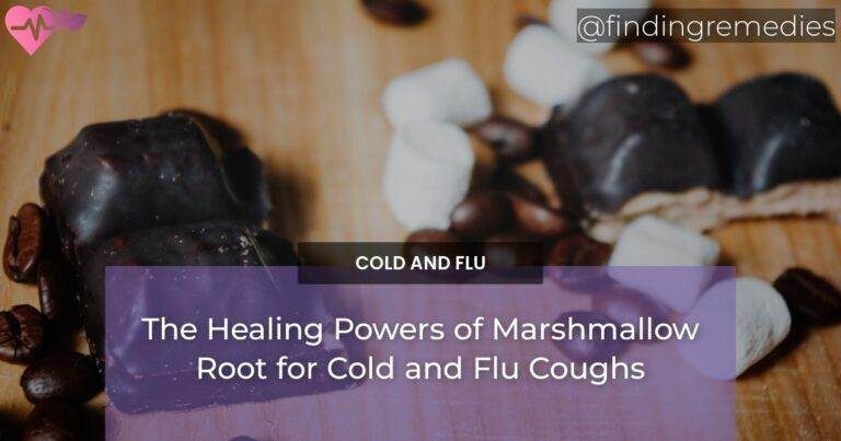 The Healing Powers of Marshmallow Root for Cold and Flu Coughs