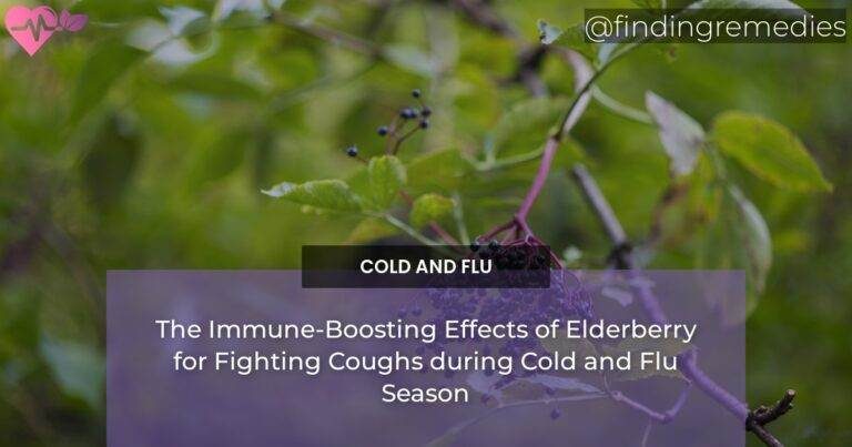 The Immune-Boosting Effects of Elderberry for Fighting Coughs during Cold and Flu Season