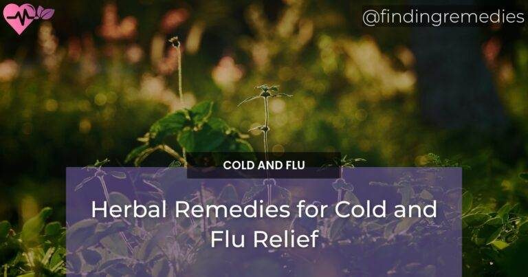 Herbal Remedies for Cold and Flu Relief