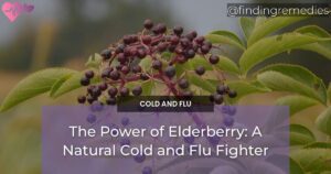 The Power of Elderberry: A Natural Cold and Flu Fighter