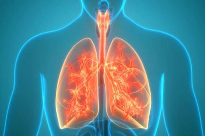 Respiratory Microbiome