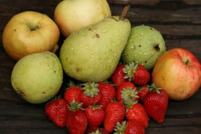understanding pectin