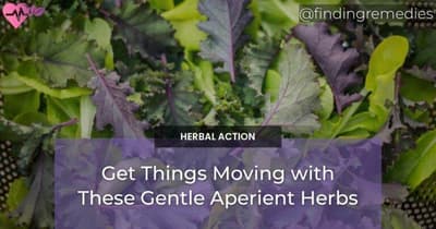 Get Things Moving with These Gentle Aperient Herbs