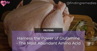 Harness the Power of Glutamine - The Most Abundant Amino Acid