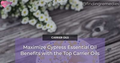 Maximize Cypress Essential Oil Benefits with the Top Carrier Oils