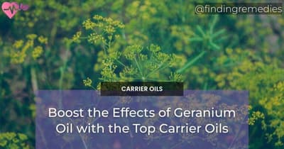 Boost the Effects of Geranium Oil with the Top Carrier Oils