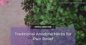 Traditional Anodyne Herbs for Pain Relief