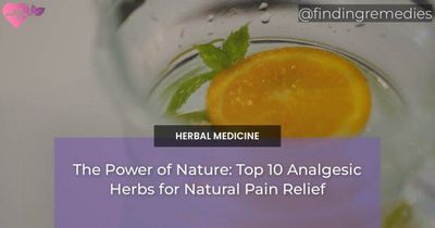 The Power of Nature: Top 10 Analgesic Herbs for Natural Pain Relief