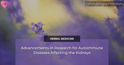 Advancements in Research for Autoimmune Diseases Affecting the Kidneys