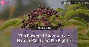 Finding Remedies - Natural Solutions to Health 5 The Power of Elderberry: A Natural Cold and Flu Fighter