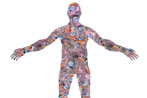 human microbiome