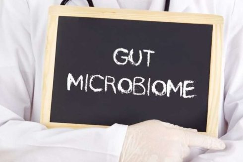 gut microbiome