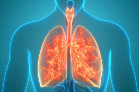 Respiratory Microbiome