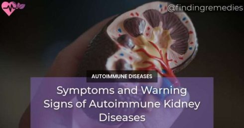 Symptoms and Warning Signs of Autoimmune Kidney Diseases
