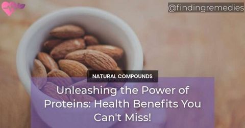 Unleashing the Power of Proteins Health Benefits You Cant Miss