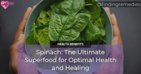 Spinach The Ultimate Superfood for Optimal Health and Healing