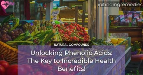 Unlocking Phenolic Acids The Key to Incredible Health Benefits