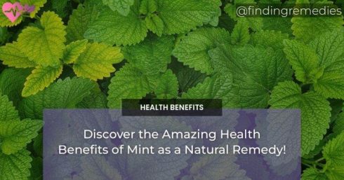 Discover the Amazing Health Benefits of Mint as a Natural Remedy!